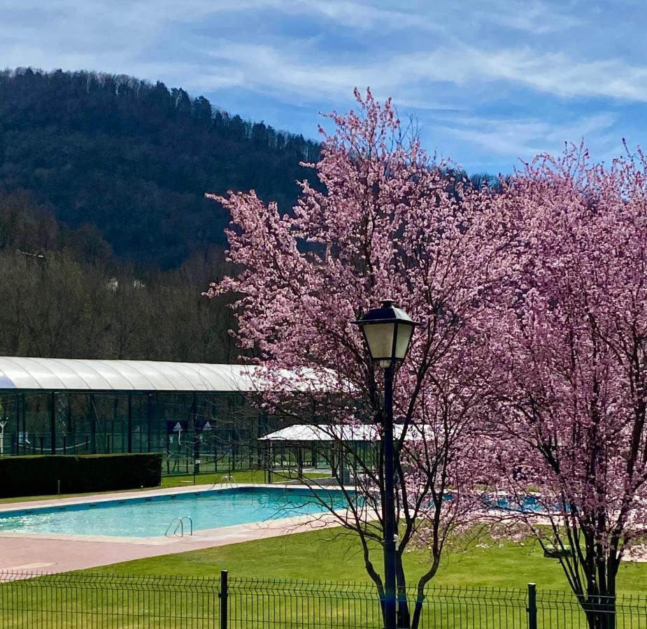 Hotel Solana Del Ter Ripoll Eksteriør billede