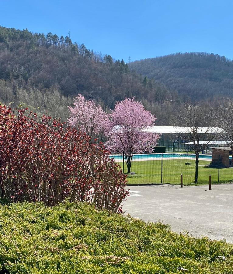 Hotel Solana Del Ter Ripoll Eksteriør billede